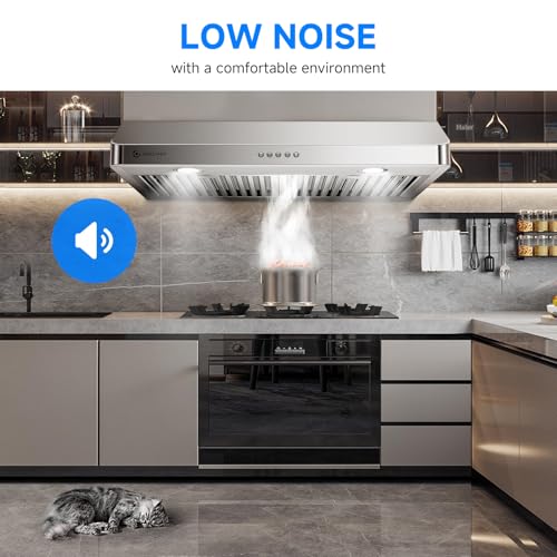 AMZCHEF 30in. 1050 CFM Dual-Motor Range Hood