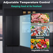 Iceblue 20.7 cu. ft. Side-by-Side Refrigerator with Stainless Steel